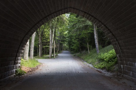 Fairy Tale Tunnel - NHP59